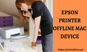 epson Printer Issue epson Printer Issue