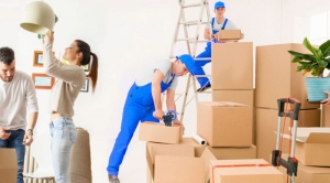 The Process Of Looking For Moving Companies The Process Of Looking For Moving Companies